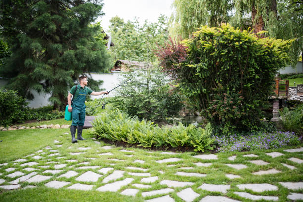 Best Affordable Pest Control Services  in Patchogue, NY