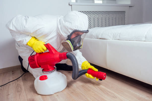 Professional Pest Control in Patchogue, NY