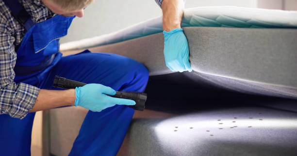 Pest Control Cost in Patchogue, NY